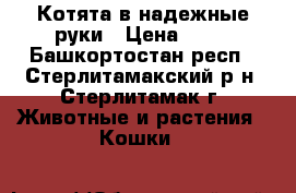 Котята в надежные руки › Цена ­ 10 - Башкортостан респ., Стерлитамакский р-н, Стерлитамак г. Животные и растения » Кошки   